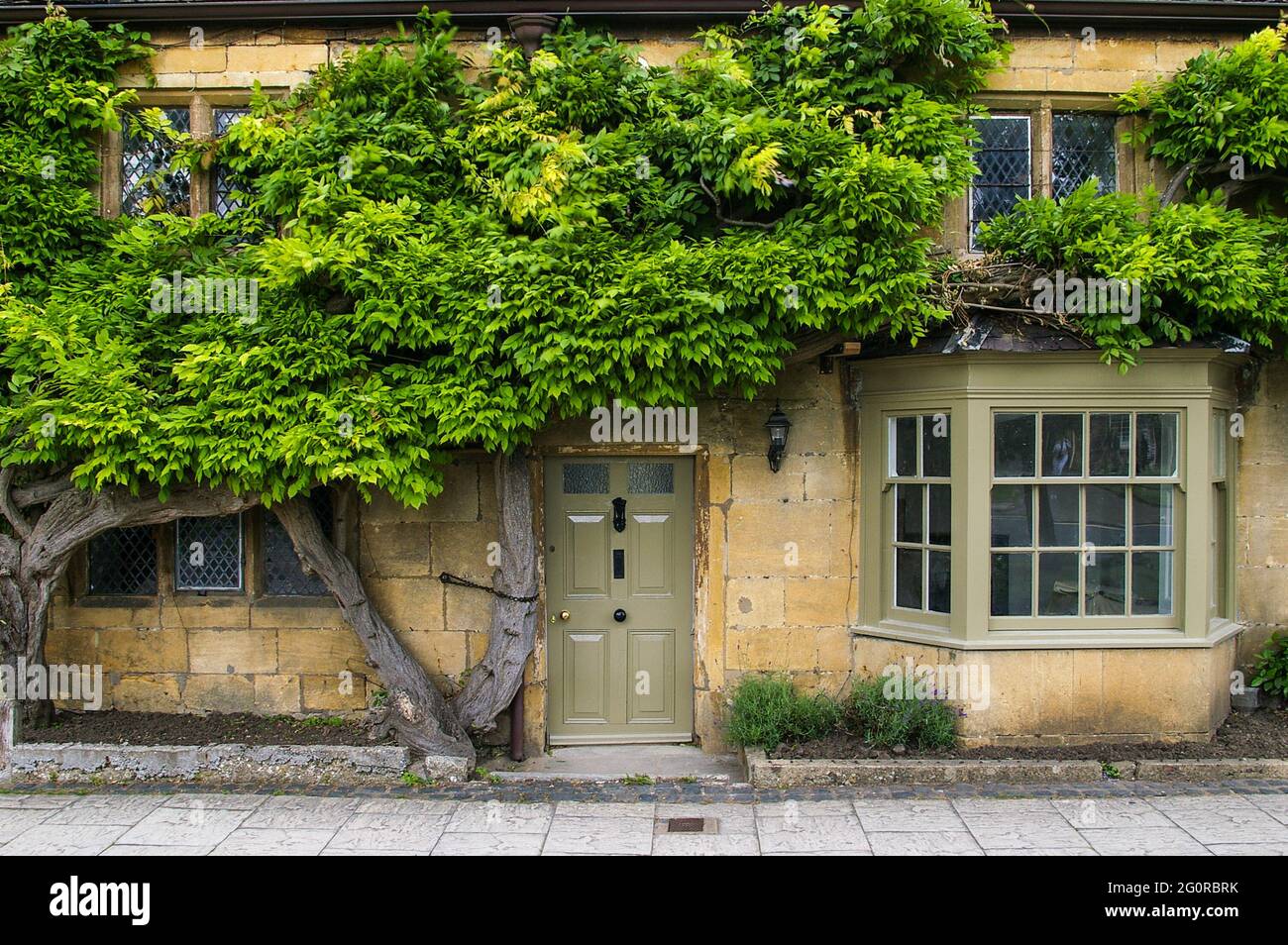 Honigfarbenes Cotswold Steinhaus an der High Street, in der attraktiven Stadt Broadway, Cotswolds, Großbritannien; alte Wisteria Rebe bedeckt die Vorderseite. Stockfoto