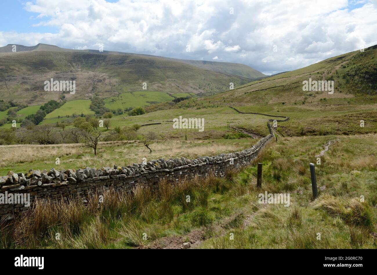 Wanderweg entlang einer walisischen Trockensteinmauer am Craig Cerrig Gleisiad Fan Frynych National Nature Reserve Brecon Beacons National Park Powys Wales Stockfoto