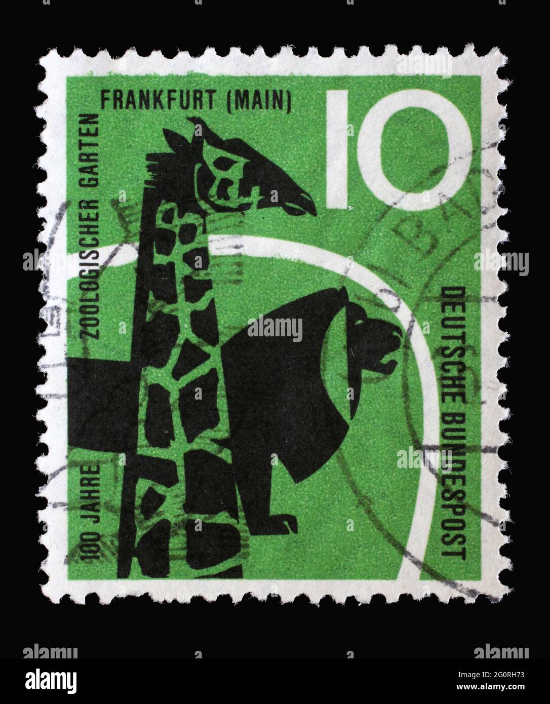 Die in Deutschland gedruckte Briefmarke zeigt Giraffe und Löwe, Zoo in Frankfurt am Main, um 1958 Stockfoto