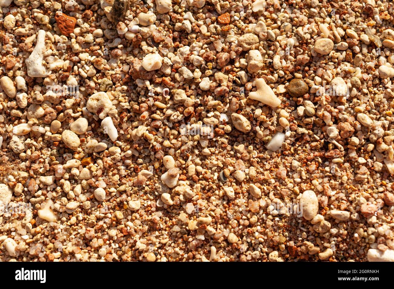Muscheln auf Sand. Sommer Strand Hintergrund. Ansicht von oben Stockfoto Muscheln auf Sand. Sommer Strand Hintergrund. Ansicht von oben Stockfoto