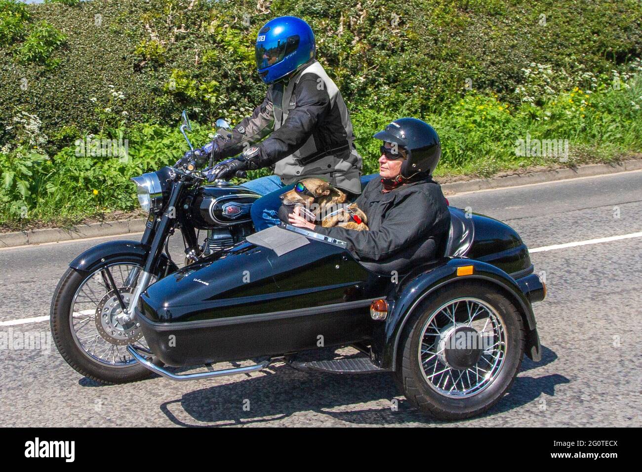 Hundeschlittenfahrt im Motorrad-Beiwagen. 2016 Royal Enfield Bullet EFI 499 ccm Motorrad Beiwagen mit Beifahrer und Hund. auf dem Weg zur Capesthorne Hall Classic May Bike Show, Cheshire, Großbritannien Stockfoto