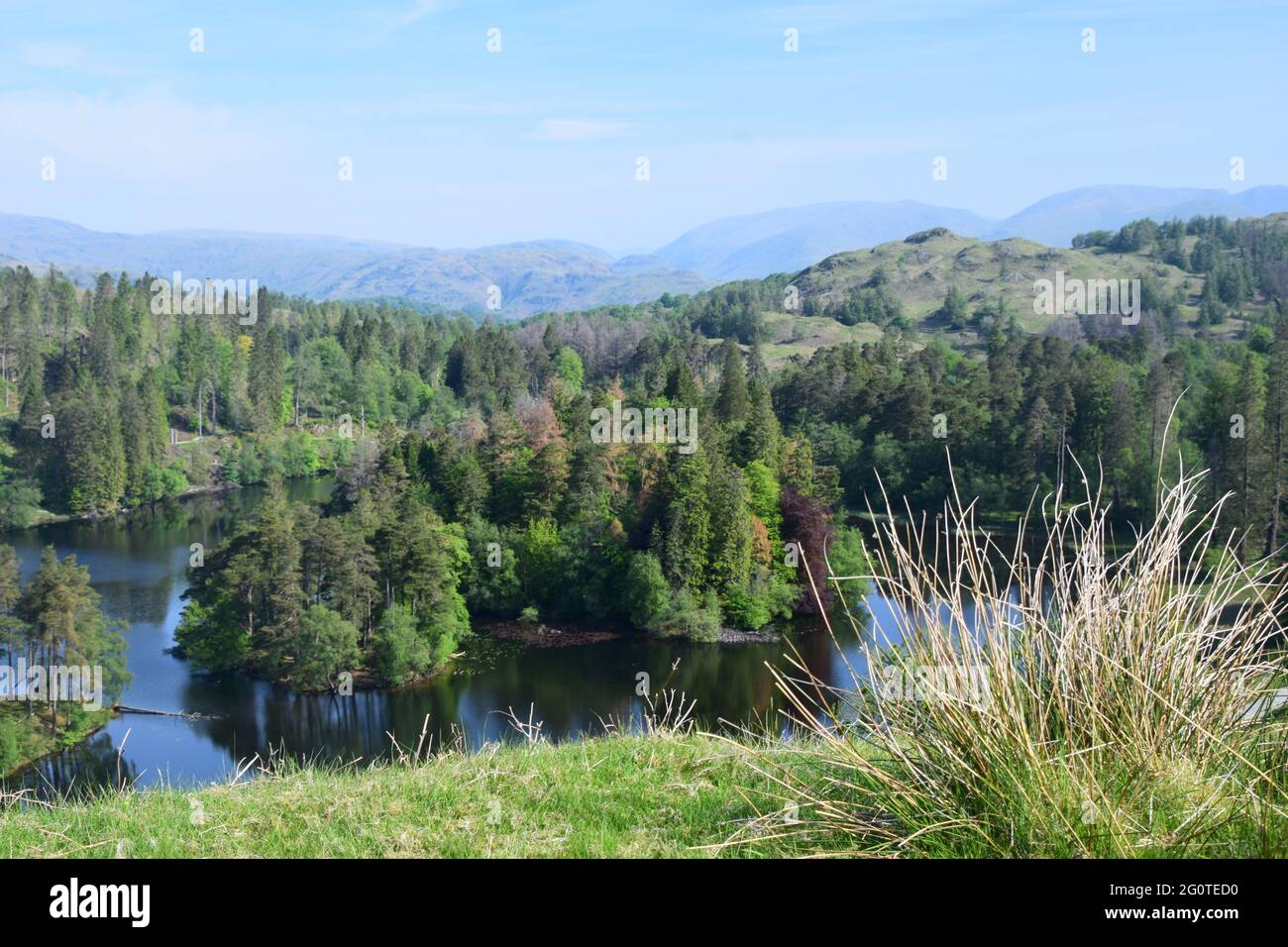 Die wunderschöne und spektakuläre Landschaft des Tarn Hows Sees liegt inmitten der hervorragenden Fjälls der Seenplatte, die im Sonnenlicht eines frühen Sommermorgens gefangen sind. Stockfoto