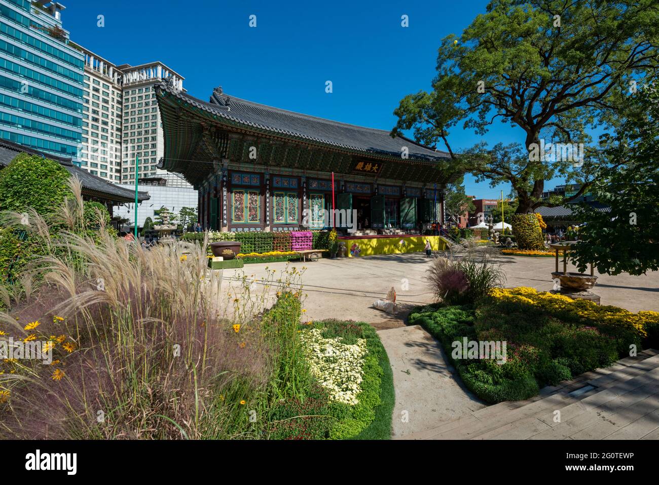 Jogyesa-Tempel ist der Haupttempel des Jogye-Ordens des koreanischen Buddhismus und wird so im Jahr 1936. Jogyesa befindet sich in Jongno-gu, in der Innenstadt von Seoul. Südkorea Stockfoto