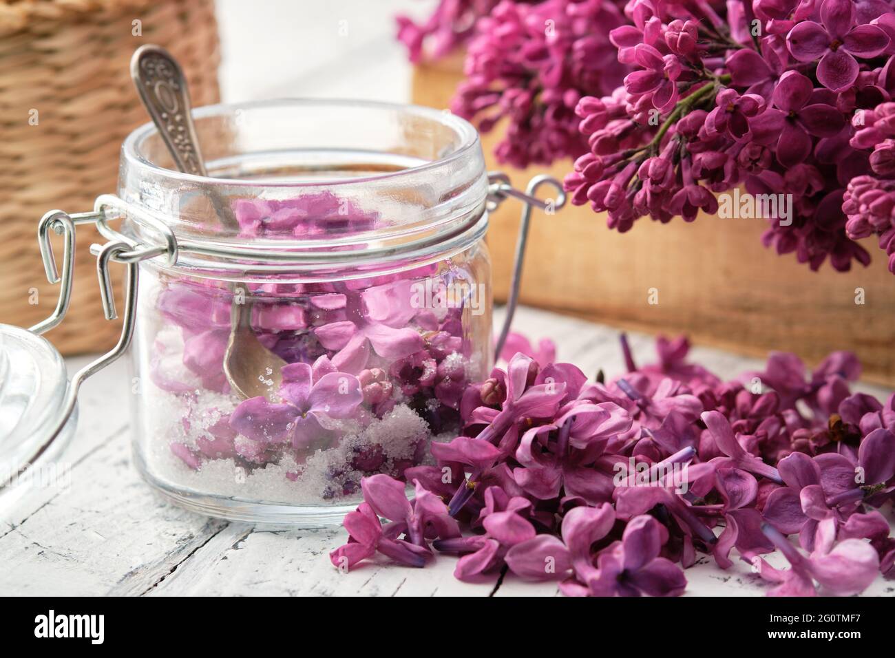 Herstellung von Fliederzucker. Fliederblüten und Zucker in einem Einmachglas. Blütenstrauß Syringa auf dem Hintergrund. Stockfoto