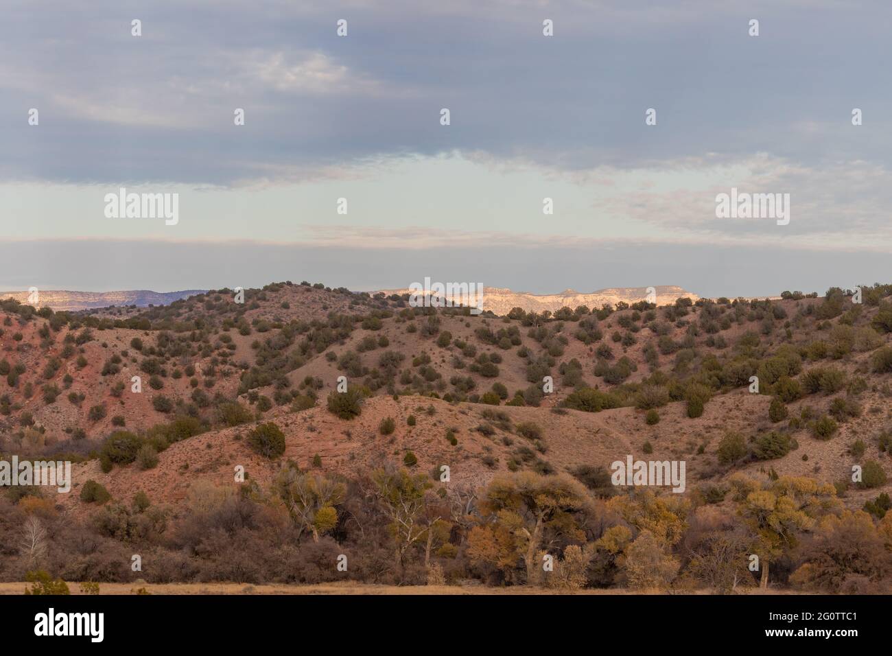 Malerische Wüstenlandschaft im Upper Verde River Arizona Stockfoto