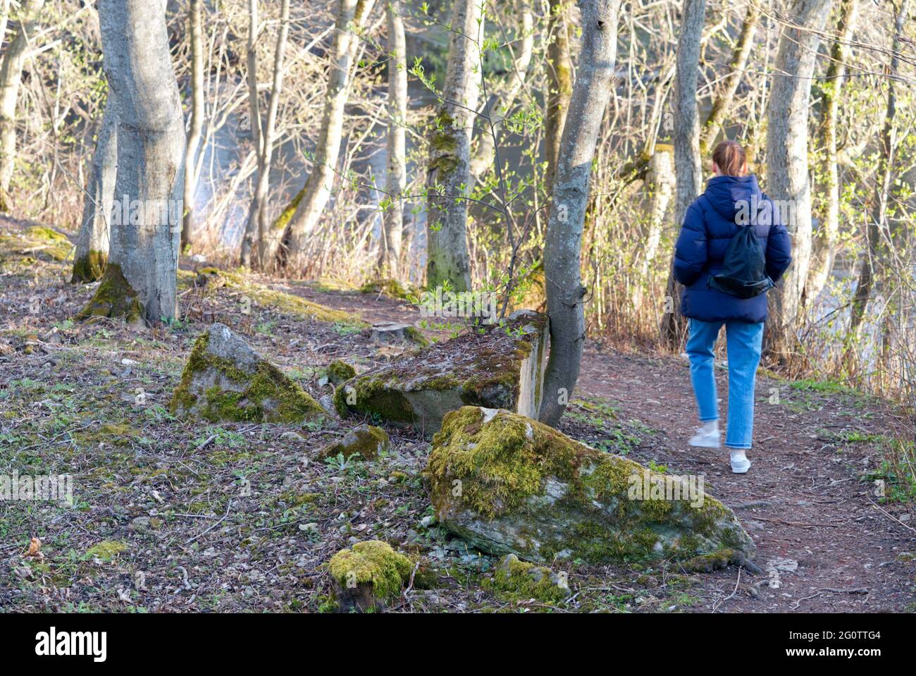 Junge Frau, die im Frühling im Wald spazierengeht Stockfoto