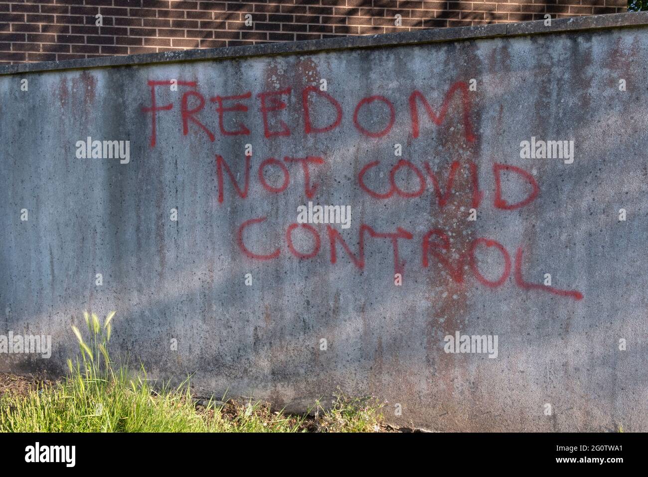 Mit Berichten über eine dritte Welle (Coronavirus-Pandemie) wurde am 31. Mai 2021 in Nailsea, North Somerset, England, Graffiti zur Kontrolle der Covid-Regierung - „Freiheit statt Covid-Kontrolle“ - auf die Stadtmauer einer Vorstadt gesprüht. Stockfoto