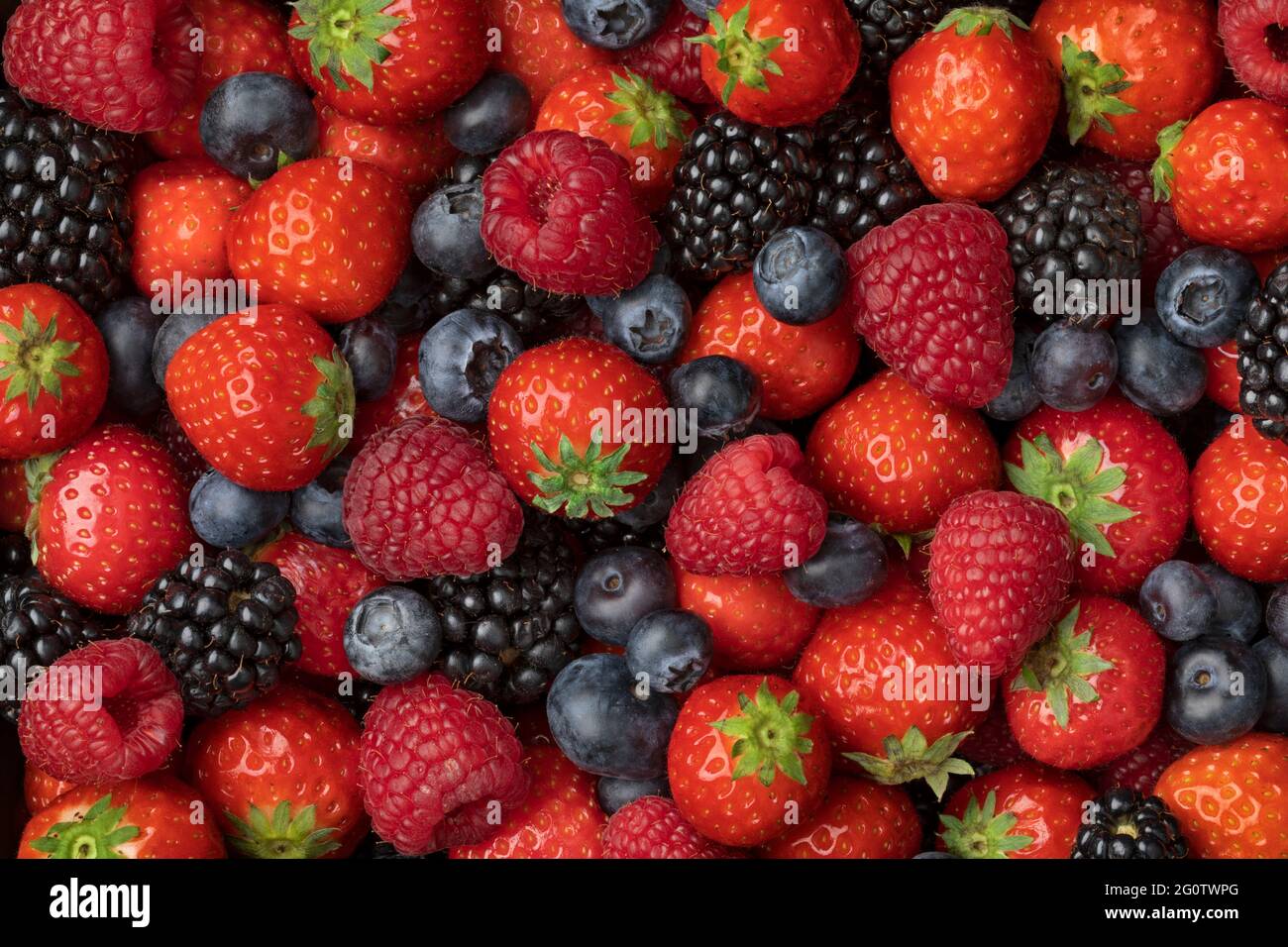 Variation von gemischten Sommerfrüchten, Erdbeeren, Heidelbeeren, Himbeeren und Brombeeren schließen Vollformat Stockfoto
