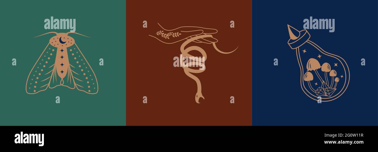 Satz mystischer Symbole für spirituelle Praktiken. Magische Hände halten Halbmond, Kristall, Zweig vor dem Hintergrund der Sterne. Trendige minimalistische Schilder, de Stock Vektor