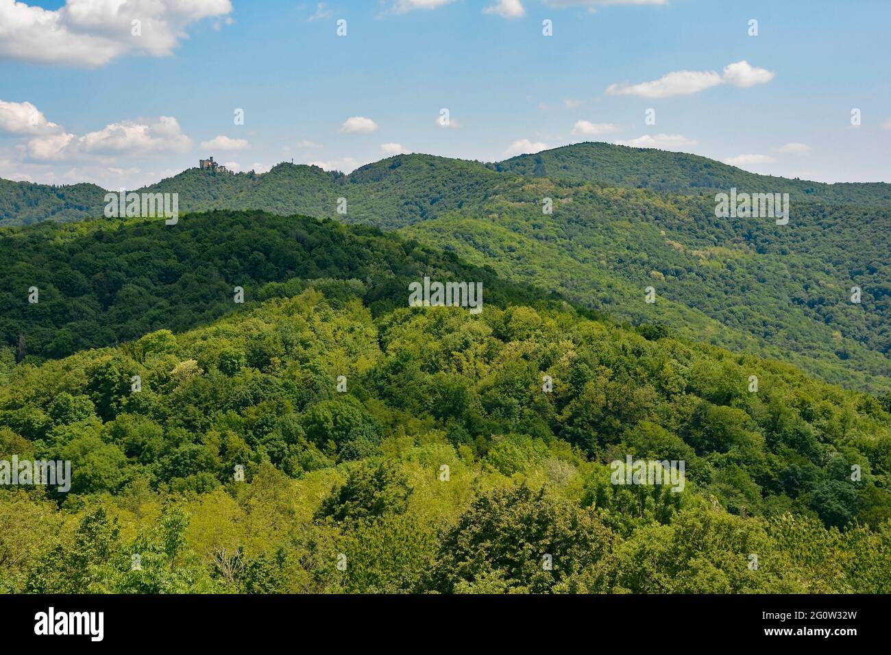 Vom Gipfel des Monte Purgessimo in der Provinz Udine, Friaul-Julisch Venetien, Nordostitalien, bietet sich ein Blick auf die Wallfahrtskirche Castelmonte über bewaldete Hügel Stockfoto