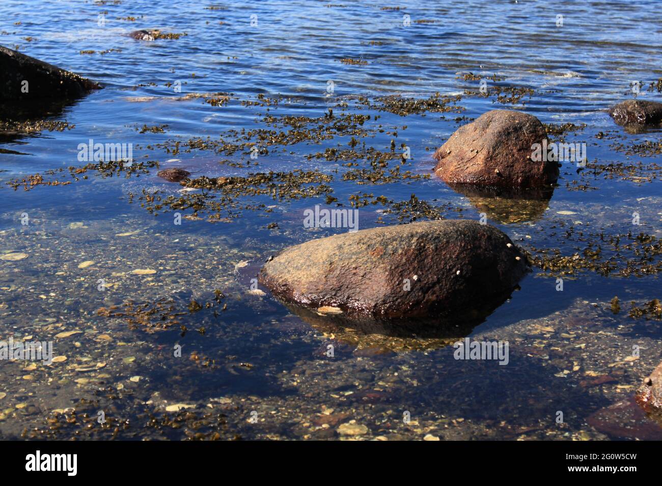 Große Steine an der Küste - Hvaler Stockfoto