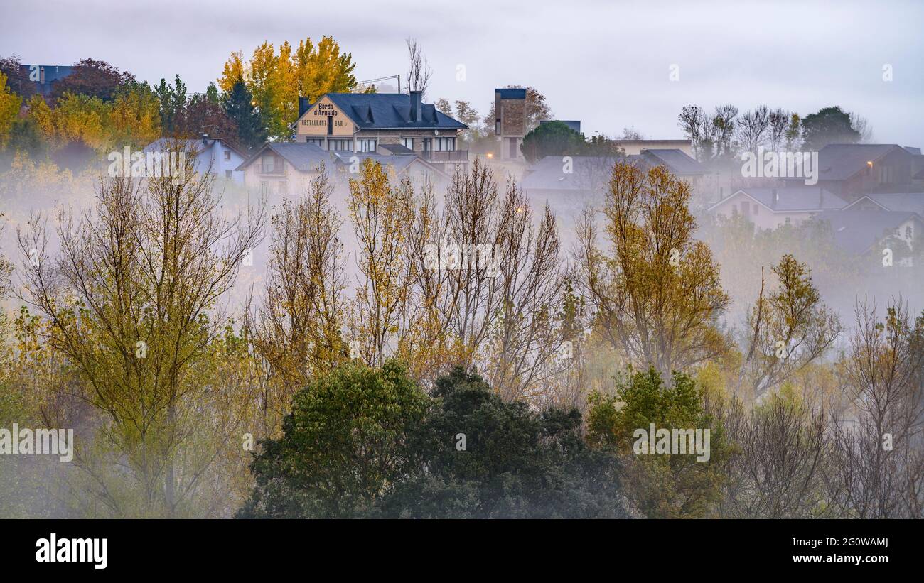 Nebel unter den Pappeln im Herbst in Montardit de Baix (Pallars Sobirà, Katalonien, Spanien, Pyrenäen) Stockfoto