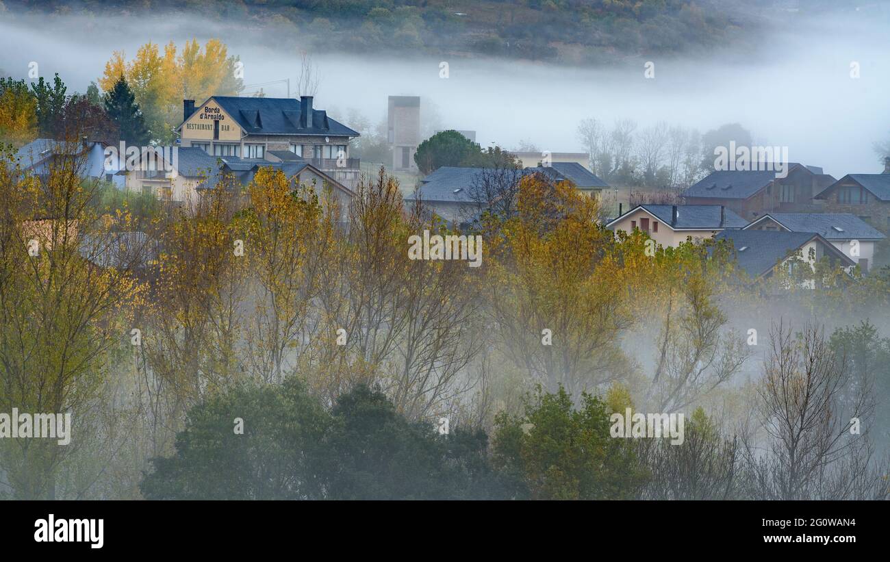 Nebel unter den Pappeln im Herbst in Montardit de Baix (Pallars Sobirà, Katalonien, Spanien, Pyrenäen) Stockfoto
