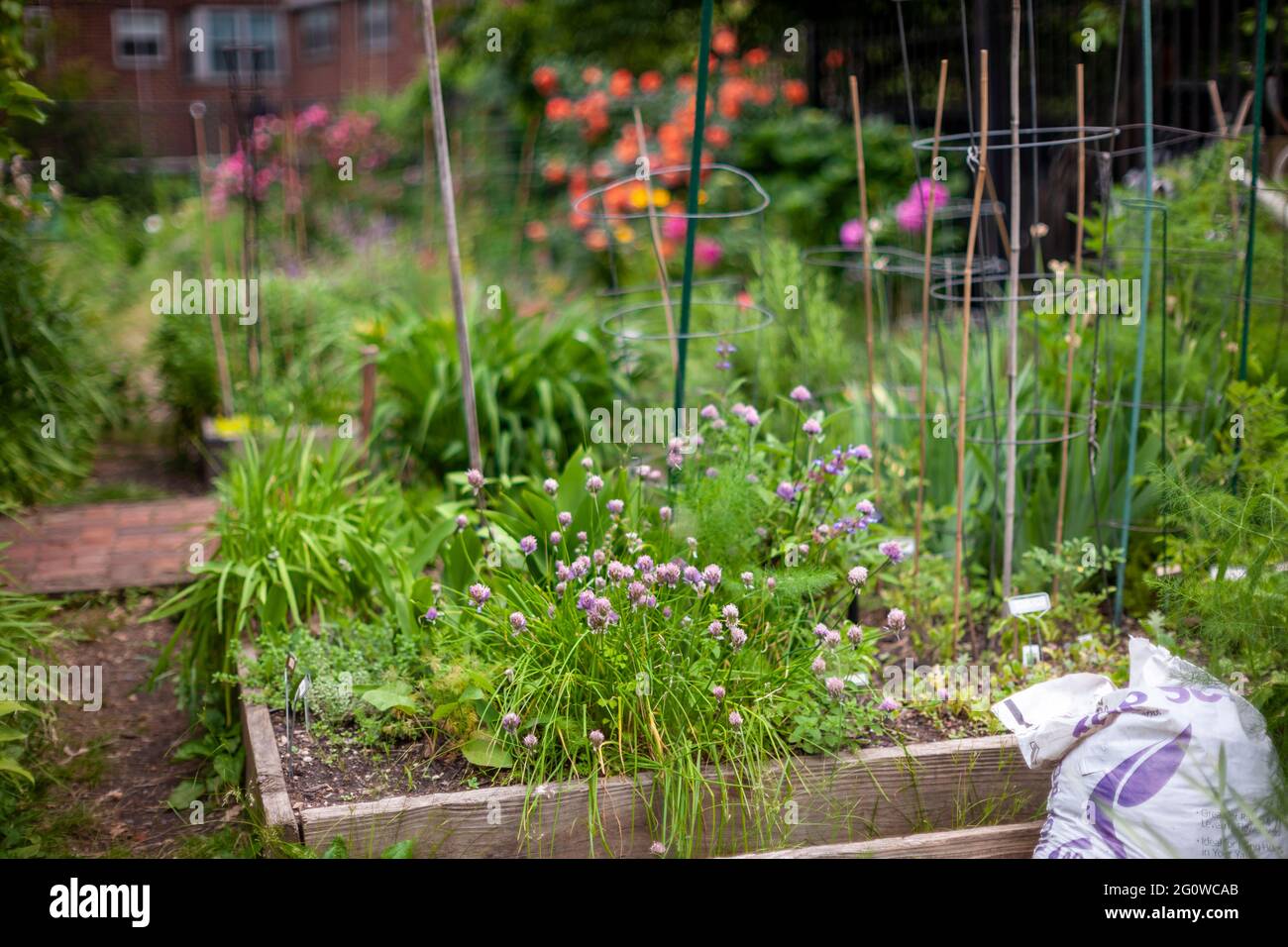 New York, USA. Juni 2021. Stadtgarten in New York am Mittwoch, 2. Juni 2021. (Foto von Richard B. Levine) Quelle: SIPA USA/Alamy Live News Stockfoto
