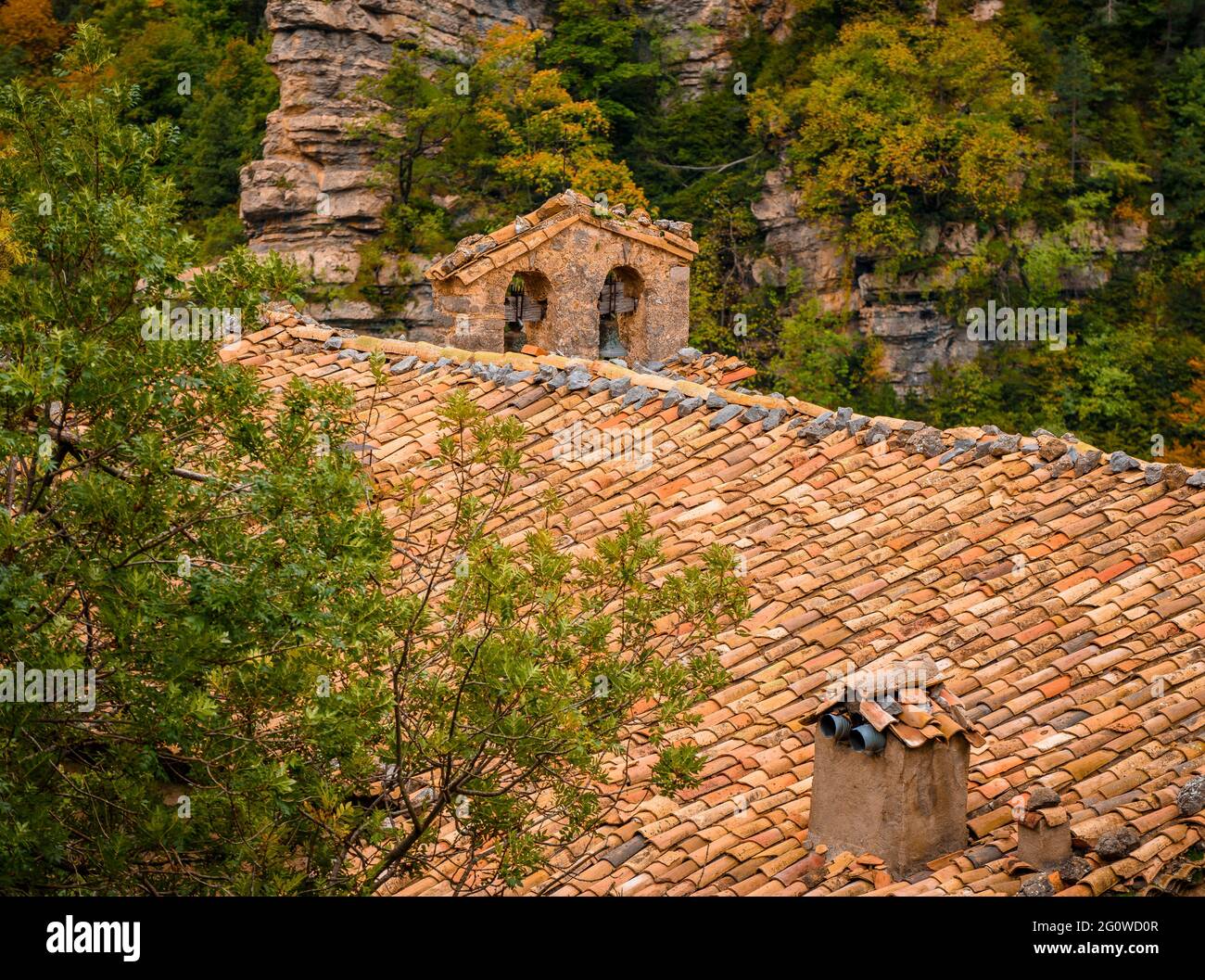 Gresolet-Tal und Buchenwald im Herbst, unter dem Pedraforca-Massiv (Naturpark Cadí-Moixeró, Katalonien, Spanien, Pyrenäen) Stockfoto