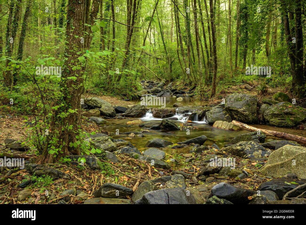 Der Fluss La Tordera, in der Nähe des Gebäudes Molí de la Llavina, im Naturpark Montseny (Vallès Oriental, Barcelona, Katalonien, Spanien) Stockfoto