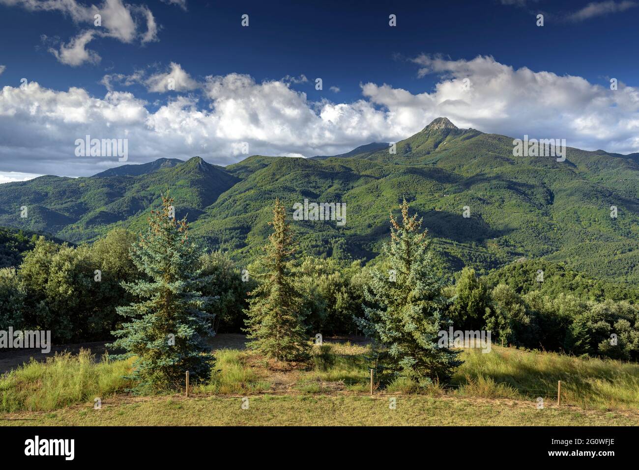 Berg Montseny am Morgen von der Einsiedelei Sant Pere Desplà aus gesehen (Arbúcies, Katalonien, Spanien) Stockfoto