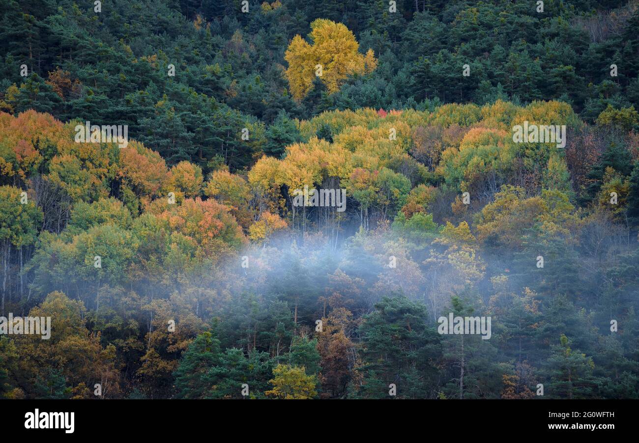 Morgenfogs an einem Herbsttag in Baix Pallars (Pallars Sobirà, Katalonien, Spanien, Pyrenäen) Stockfoto