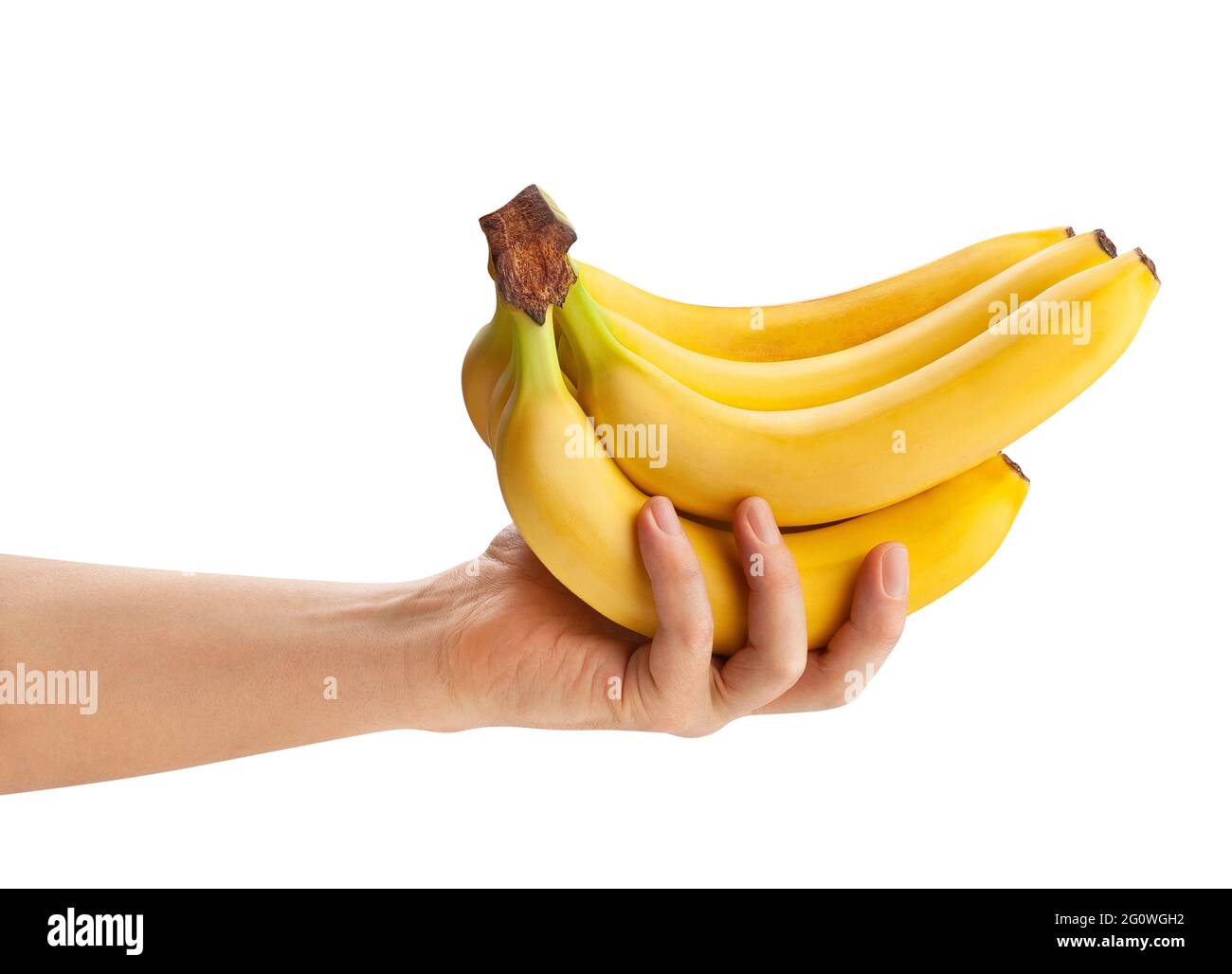 Bananenbündel im Handweg isoliert auf weiß Stockfoto
