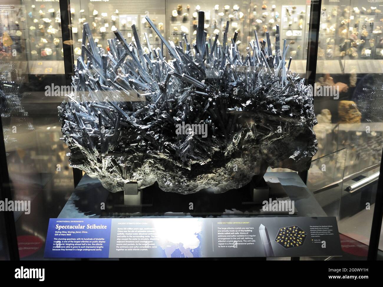 New York, USA. Juni 2021. Stibnite wird bei der Eröffnung der Allison und Roberto Mignone Halls of Gems and Minerals am 3. Juni 2021 im American Natural History Museum in New York, NY, ausgestellt. (Foto von Stephen Smith/SIPA USA) Quelle: SIPA USA/Alamy Live News Stockfoto