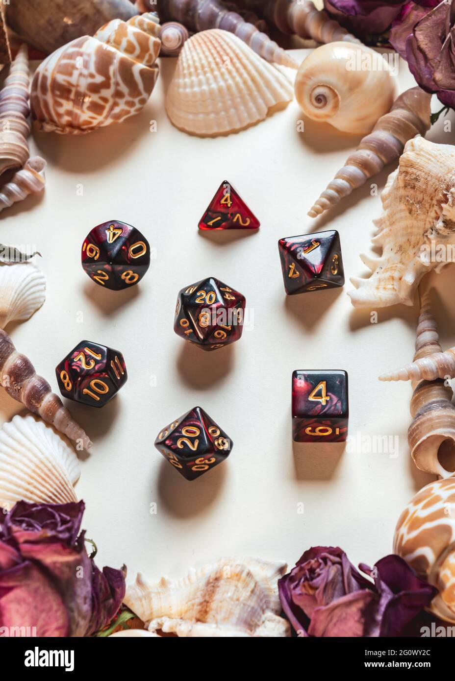 Vertikales Bild einer Reihe von schwarz-rot marmorierten RPG-Spielwürfeln, eingerahmt von Muscheln und getrockneten Rosen Stockfoto