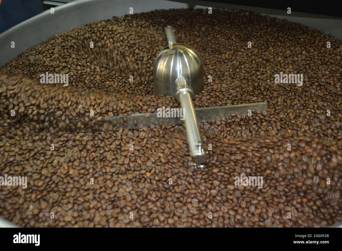 Kaffeebohnen bereit zum Mahlen in einer Fabrik Stockfoto