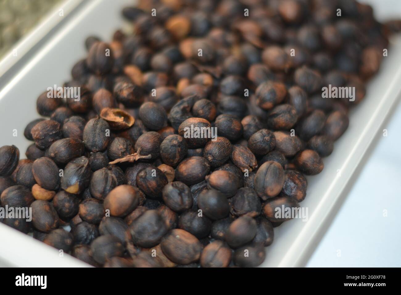 Nahaufnahme der geernteten Kaffeebohnen, die zum Mahlen bereit sind Stockfoto
