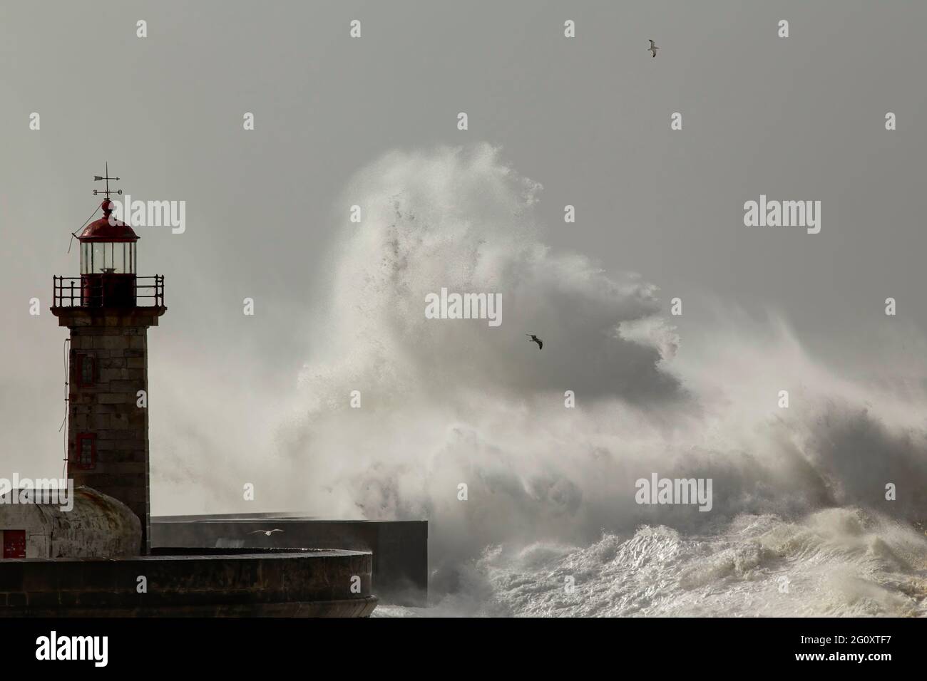 Alter Leuchtturm und Pier des Douro Flussmündung unter starkem Sturm mit großen plätschernden Wellen. Stockfoto