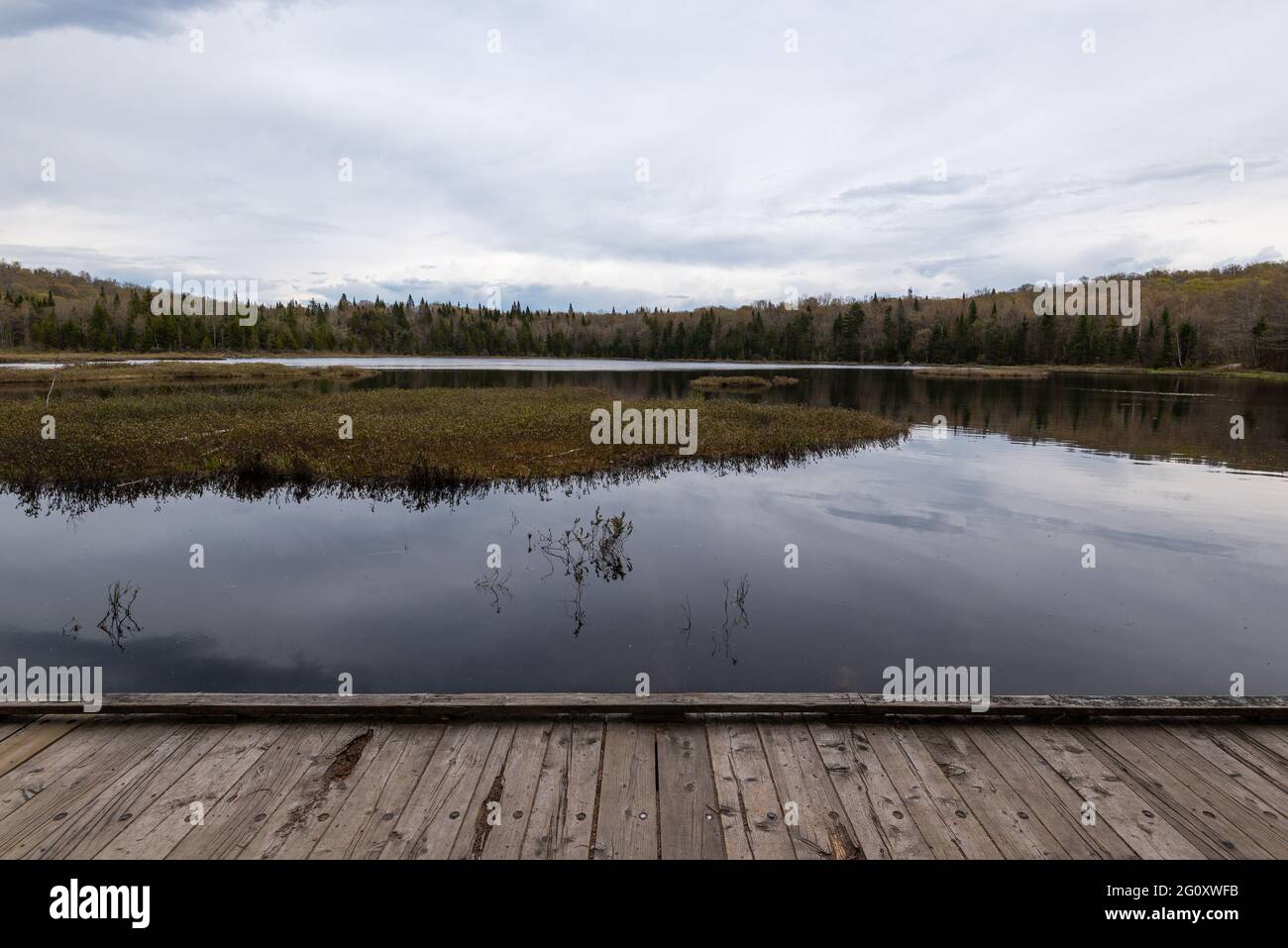 Im Frühjahr, am Rande des Sumpfes und See Boivin im Naturpark von Mont-Belair, Quebec Stadt. Stockfoto