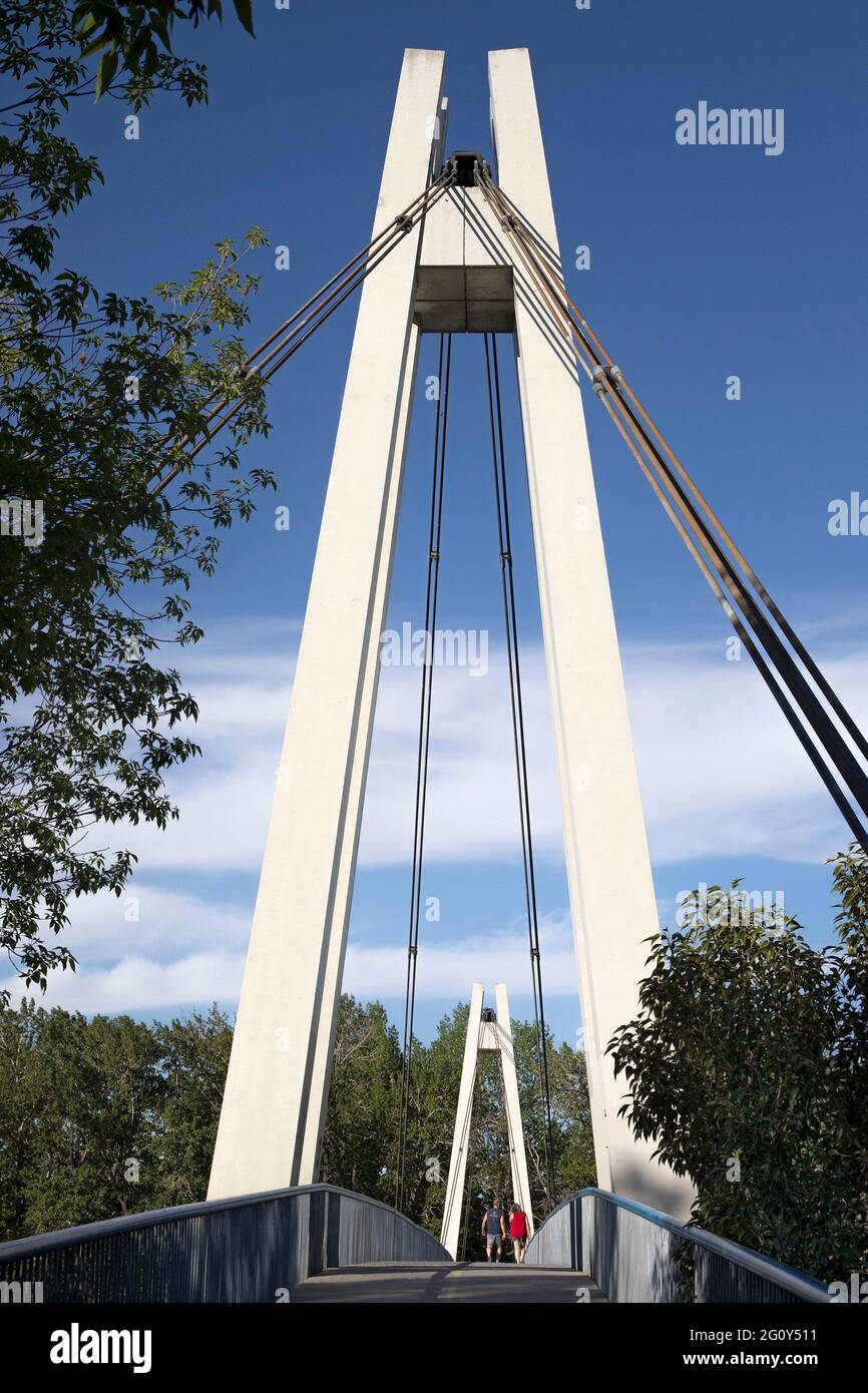 Die Eric Harvie Brücke über den Bow River verbindet den Sue Higgins Park mit dem Carburn Park im Südosten von Calgary. Stockfoto