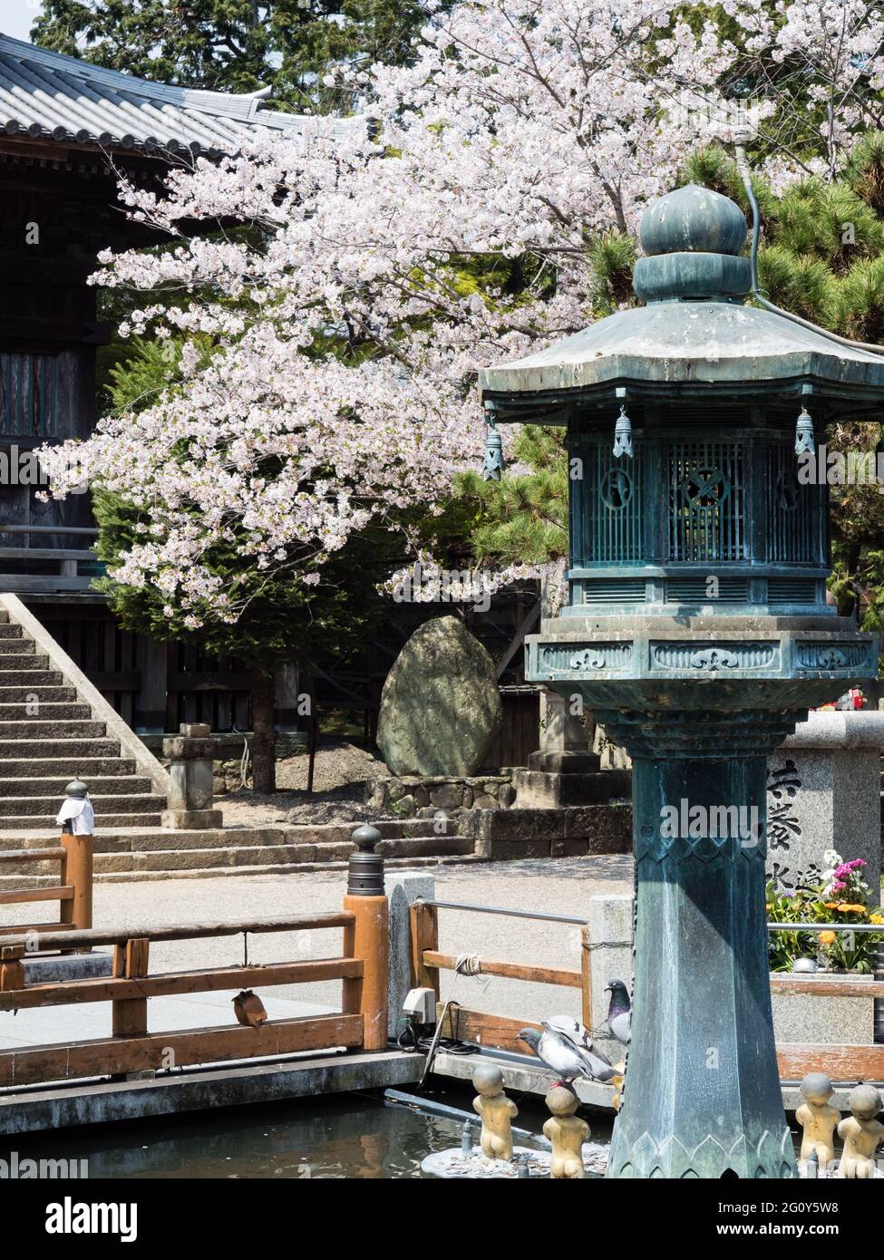 Naruto, Japan - 2. April 2018: Kirschblüten bei Ryozenji, Tempel Nummer 1 der Shikoku-henro-Pilgerfahrt Stockfoto