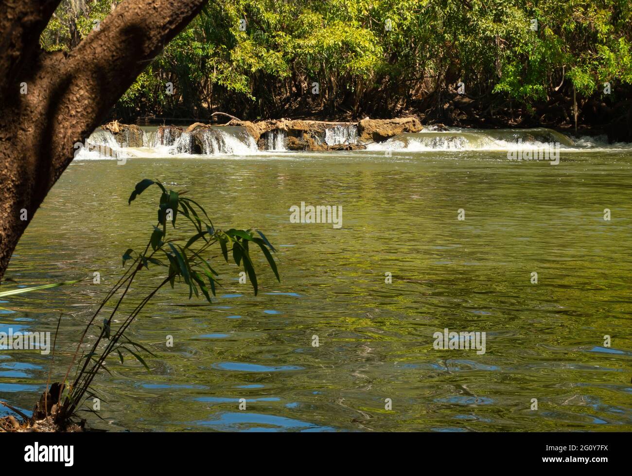 Roper River mit üppiger grüner Vegetation am tropischen oberen Ende des Northern Territory. Stockfoto