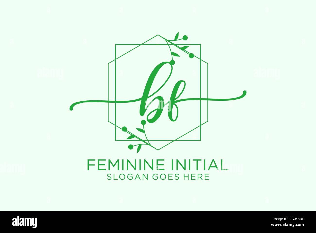 BF Beauty Monogramm und elegantes Logo Design Handschrift Logo der ersten Unterschrift, Hochzeit, Mode, Blumen und botanische mit kreativen Vorlage. Stock Vektor