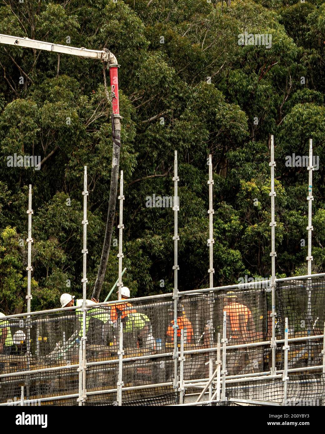 Die Arbeiter schließen den von Boom Pump gelieferten Beton auf einer neuen Baustelle mit Buschland-Hintergrund aus. Neuer sozialer Wohnungsbau bei 56-58 Beane St. Gosford Stockfoto