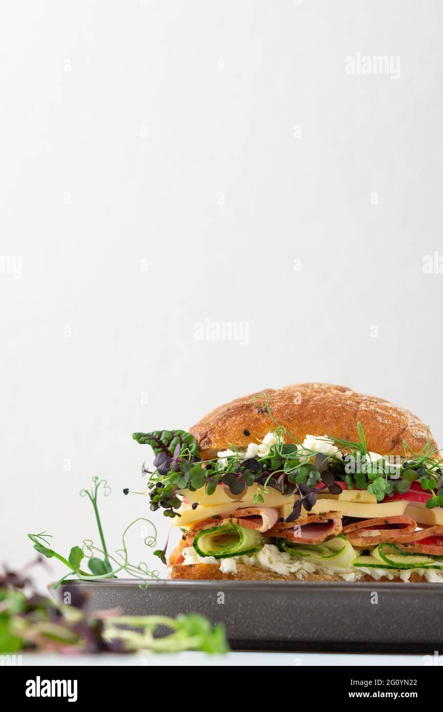 Brötchen mit Wurst, Käse und Gurken, Microgreens und Mozzarella und Radieschen, köstlicher herzhafter Burger aus nächster Nähe auf einem zu Hause gekochten Teller Stockfoto
