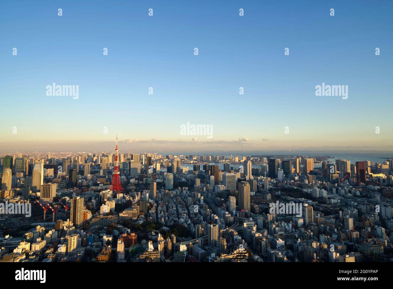 Blick auf die Skyline von Tokio und den Tokyo Tower, vom Tokyo City View Sky Deck des Mori Towers am Abend, Roppongi Hills, Tokio, Japan Stockfoto