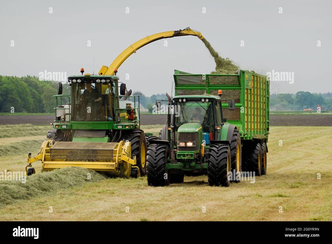 Gras ernten, zwei Traktoren arbeiten, ein Mähdrescher schleppen und Heu für Silage im Anhänger sammeln Stockfoto