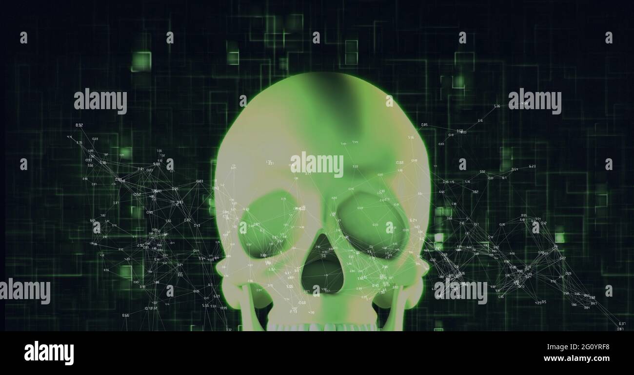 Komposition von Netzwerk von Verbindungen über digitalen Schädel auf schwarzem Hintergrund Stockfoto