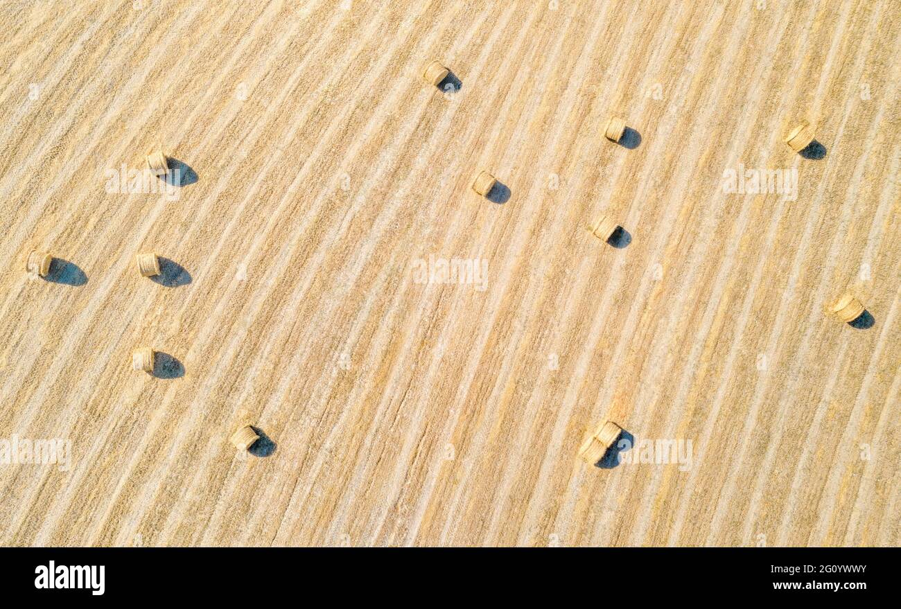 Heuballen im landwirtschaftlichen Bereich, natürliches Muster. Luftpanoram direkt darüber Stockfoto