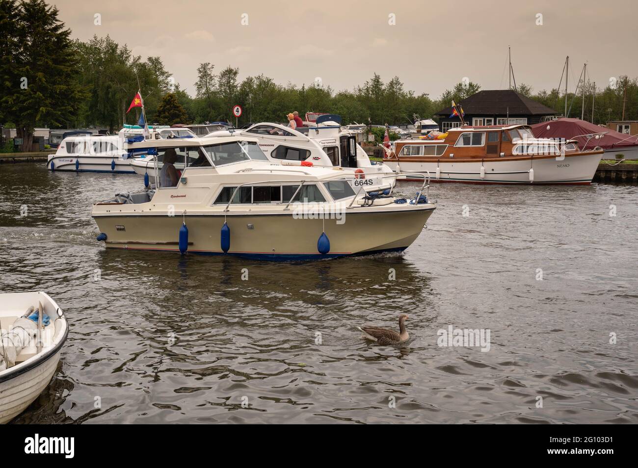 Norfolk-Broaden horning beschäftigt mit Motorcruiser auf dem Flussufer Stockfoto