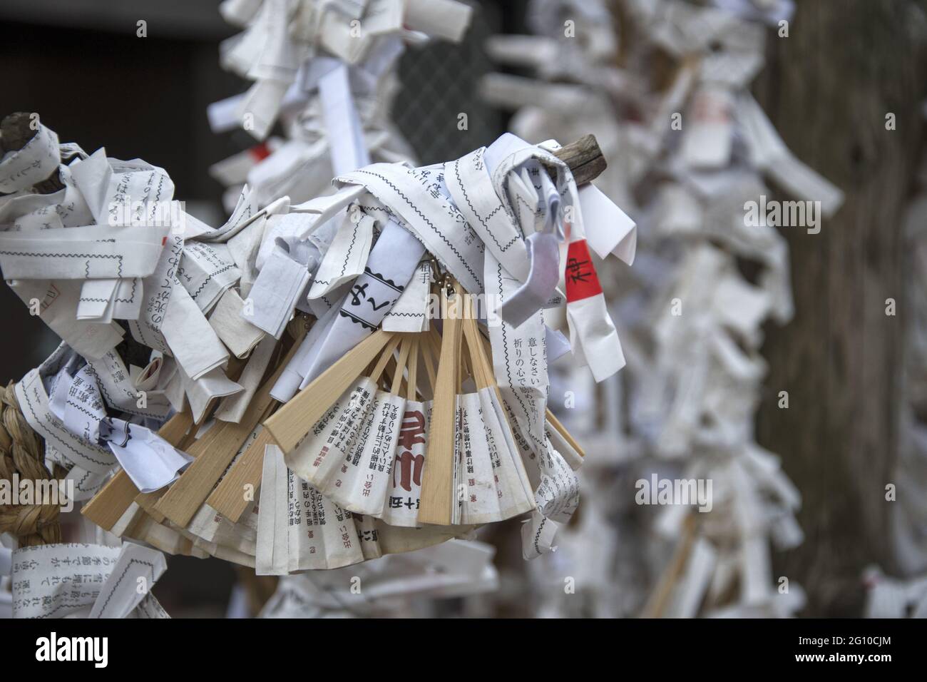 OSAKA, JAPAN - 10. Dez 2019: Osaka, Japan- 03. Dez 2019: Nahaufnahme der Japanease Omikuji zufällig Vermögen Papier gebunden an Seil für Glück in Namba Y Stockfoto