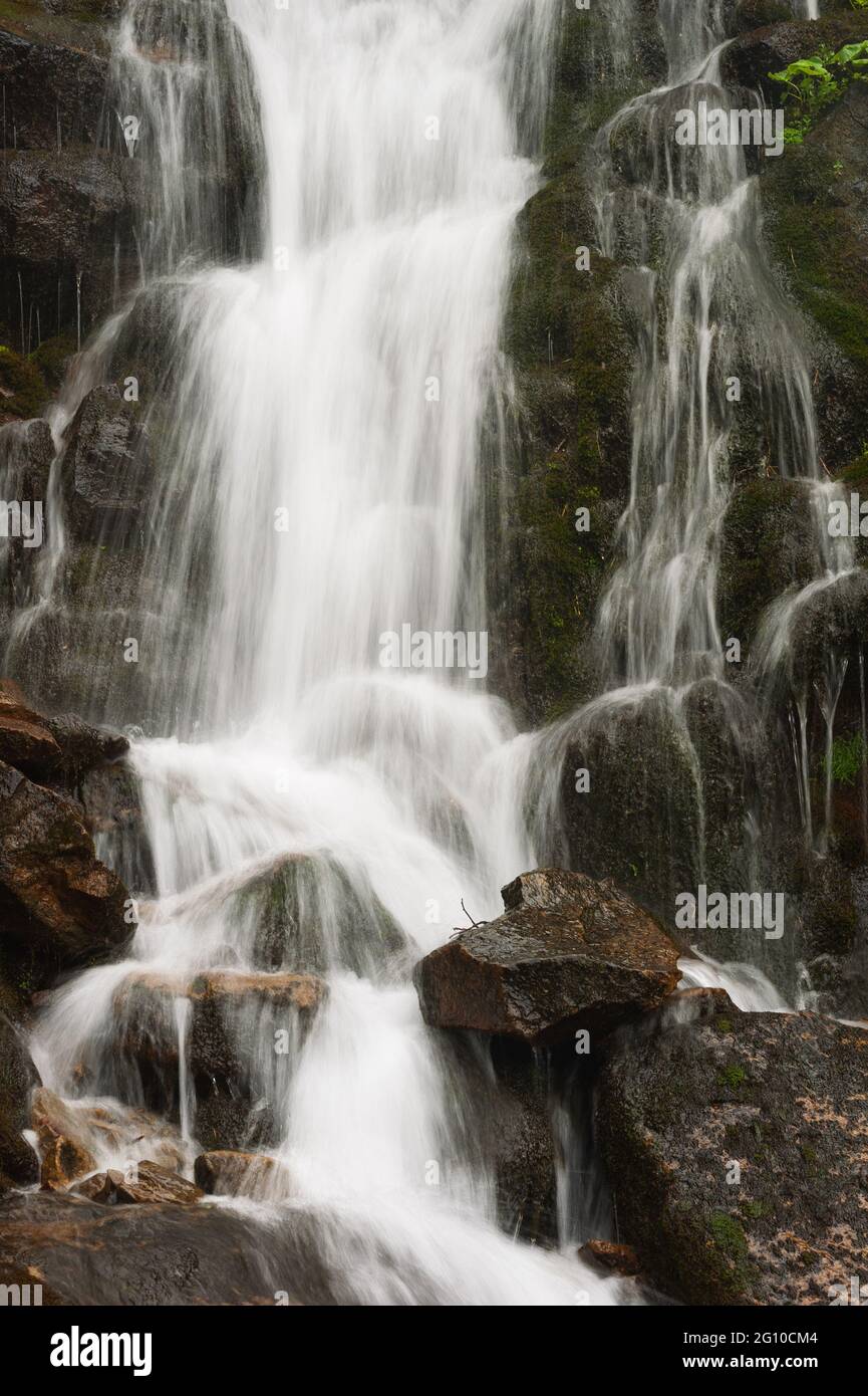 Wasserfall in den Bergen. Frische Bewegungsaufnahme des Flusses in den Karpaten, Ukraine. Stockfoto