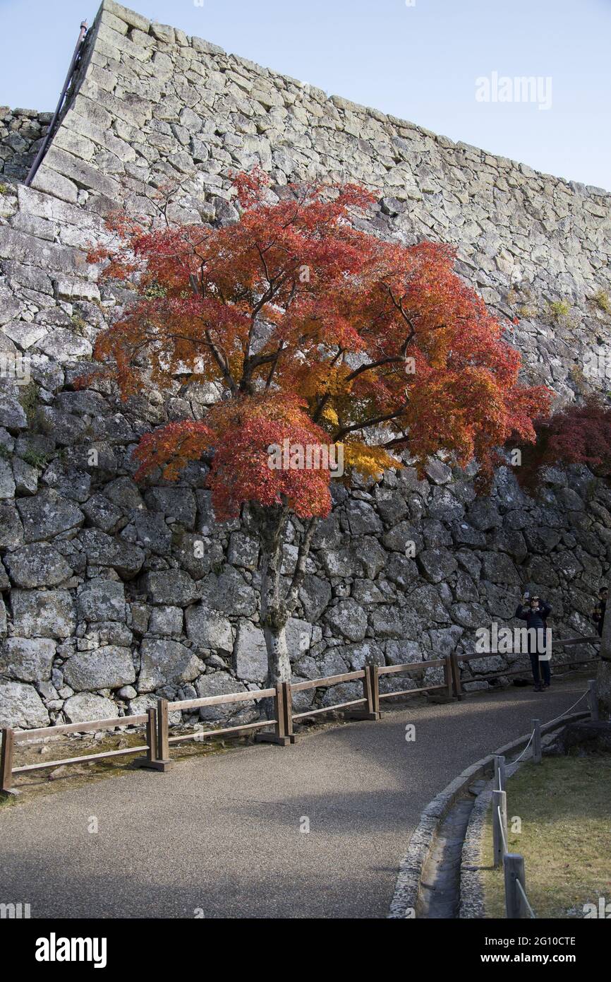 HIMEJI, JAPAN - 17. Dez 2019: Himeji, Japan- 30. Nov, 2019: Touristen laufen im Herbst um das Himeji Schloss oder das Weisse Reiher Schloss (Shirasagijo) Hyogo, Jap Stockfoto