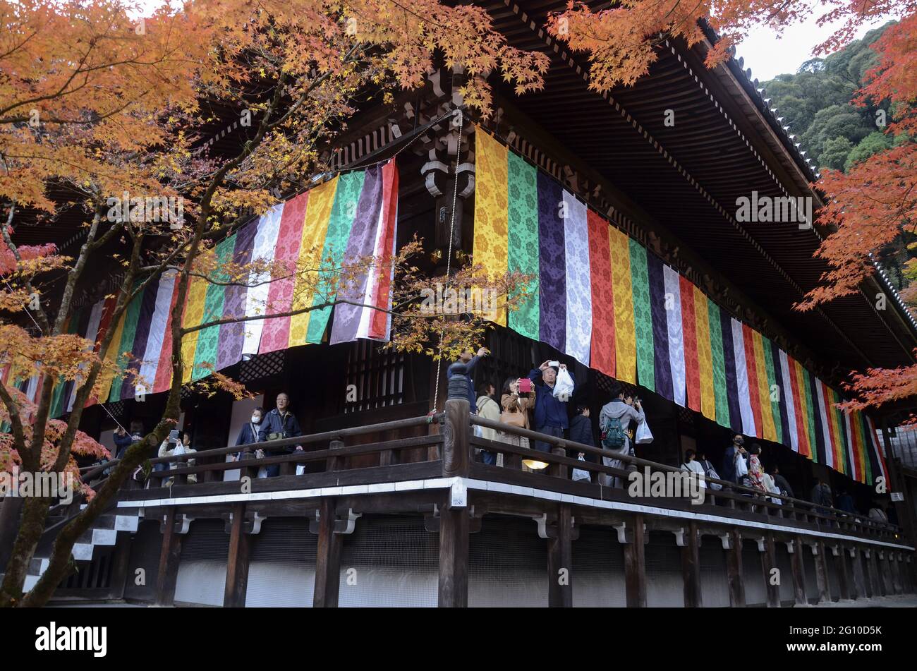 KYOTO, JAPAN - 10. Dez 2019: Kyoto, Japan - 24. Nov 2019: Menschen besuchen die Gärten von Eikando Zenrinji in Kyoto, Japan. Der Jodo-Buddhismus-Tempel geht zurück auf Stockfoto