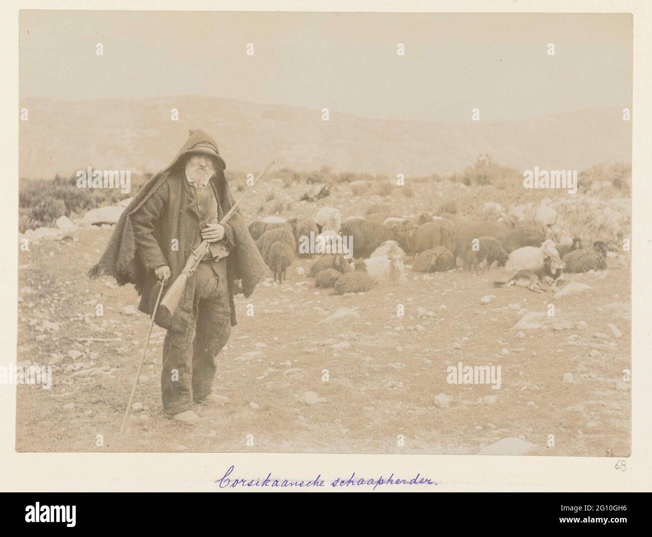 Korsischer Schafsbart; Corsikan Schafhirte. Eine schafschepher mit Gewehr bei einer großen Herde von Schafen in der bergigen korsischen Landschaft. Stockfoto