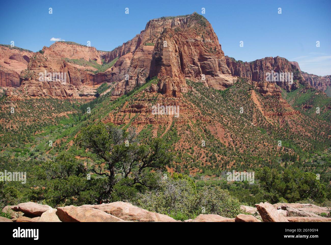 Gipfel in den Kolob Canyons, Zion National Park, Utah, USA Stockfoto