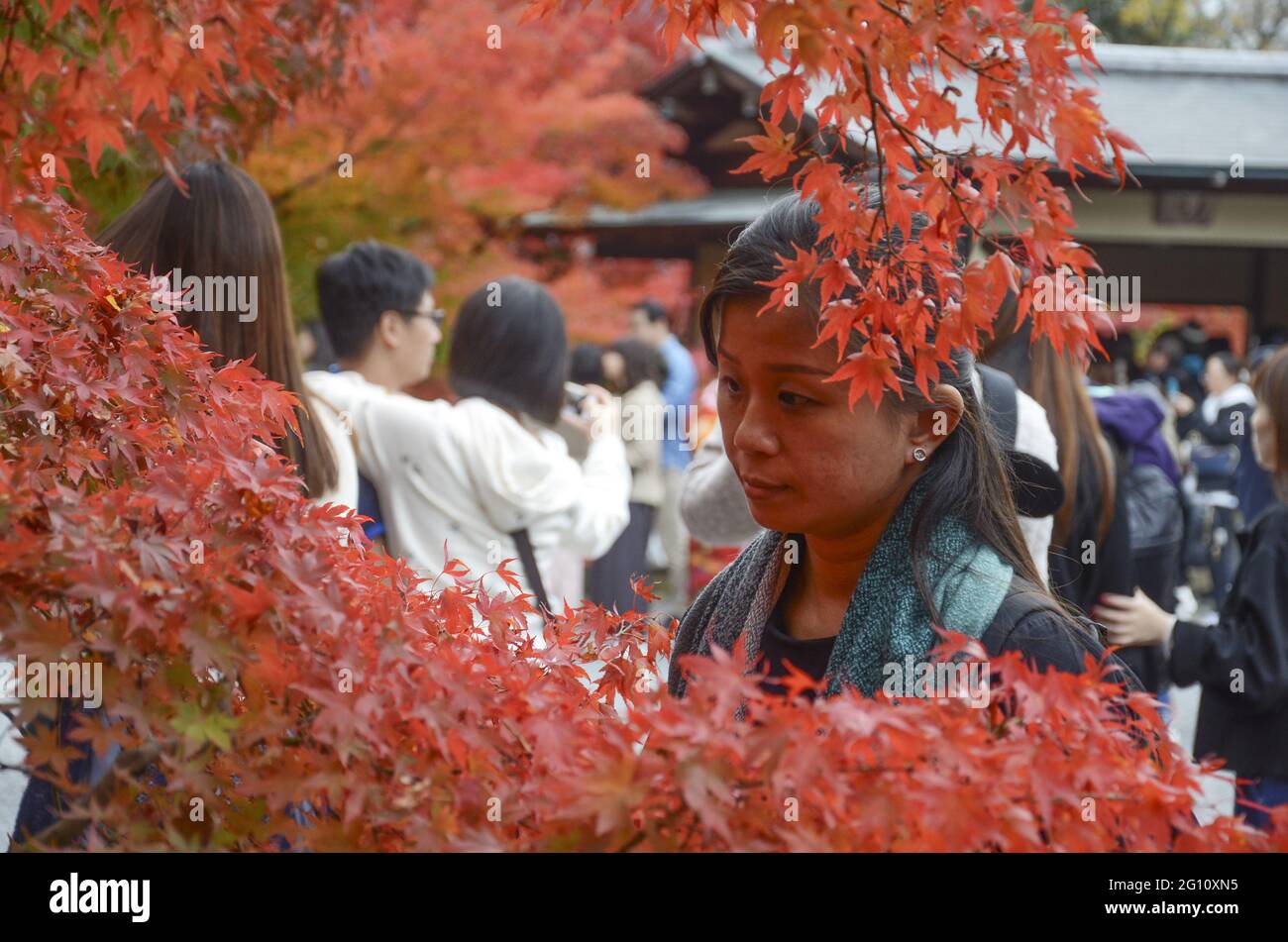 KYOTO, JAPAN - 10. Dez 2019: Kyoto, Japan - 24. Nov 2019: Menschen besuchen die Gärten von Eikando Zenrinji in Kyoto, Japan. Der Jodo-Buddhismus-Tempel geht zurück auf Stockfoto