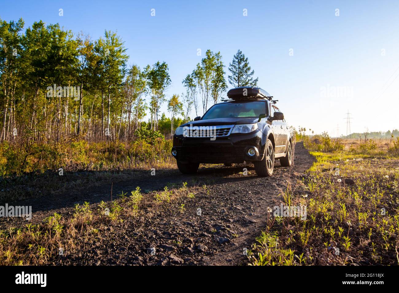 Subaru Forester mit Dachbox auf Feldweg im Wald Stockfoto