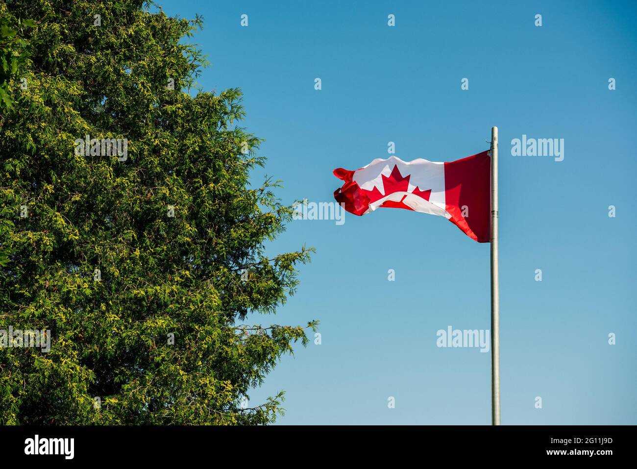 Kanada, Ontario, kanadische Flagge gegen klaren Himmel und Baum Stockfoto