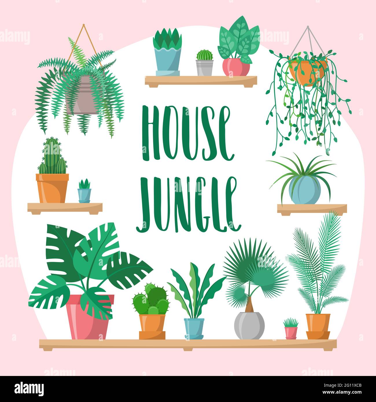 Hausdschungel Phrase mit Home Plants Kollektion in flachem Stil, moderne Kalligraphie Zeichen und Zimmerpflanzen in bunten Töpfen auf Regalen, grüne Set, lette Stock Vektor
